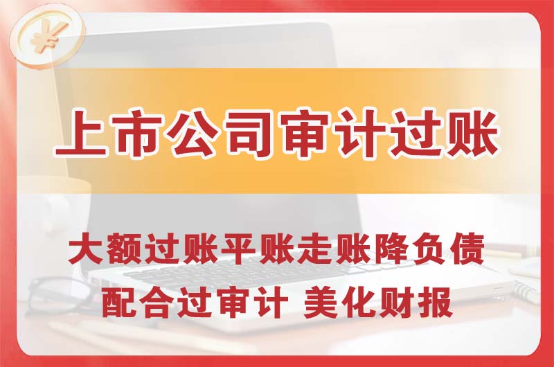 桐乡上市公司审计过账